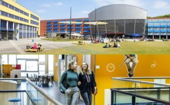 HAN Scholarships for International Students in the Netherlands
